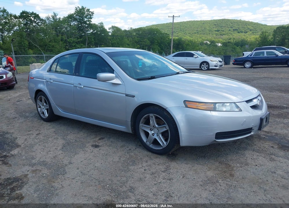 2004 ACURA TL VIN: 19UUA66204A005310