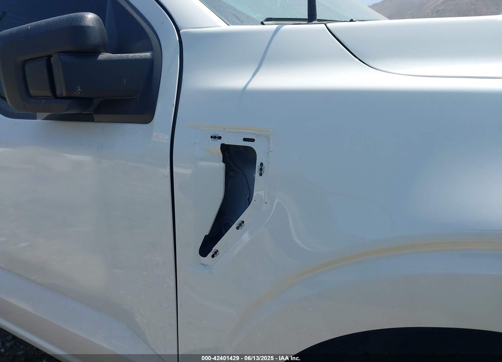 2024 FORD F-150 XL VIN: 1FTMF1KP0RKD98764