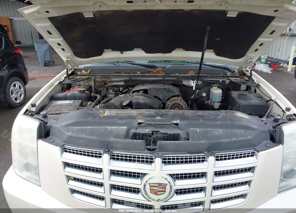 2009 CADILLAC ESCALADE ESV STANDARD VIN: 1GYFK26239R287345