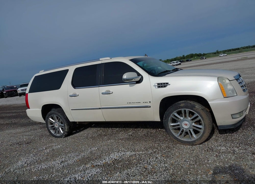 2009 CADILLAC ESCALADE ESV STANDARD VIN: 1GYFK26239R287345