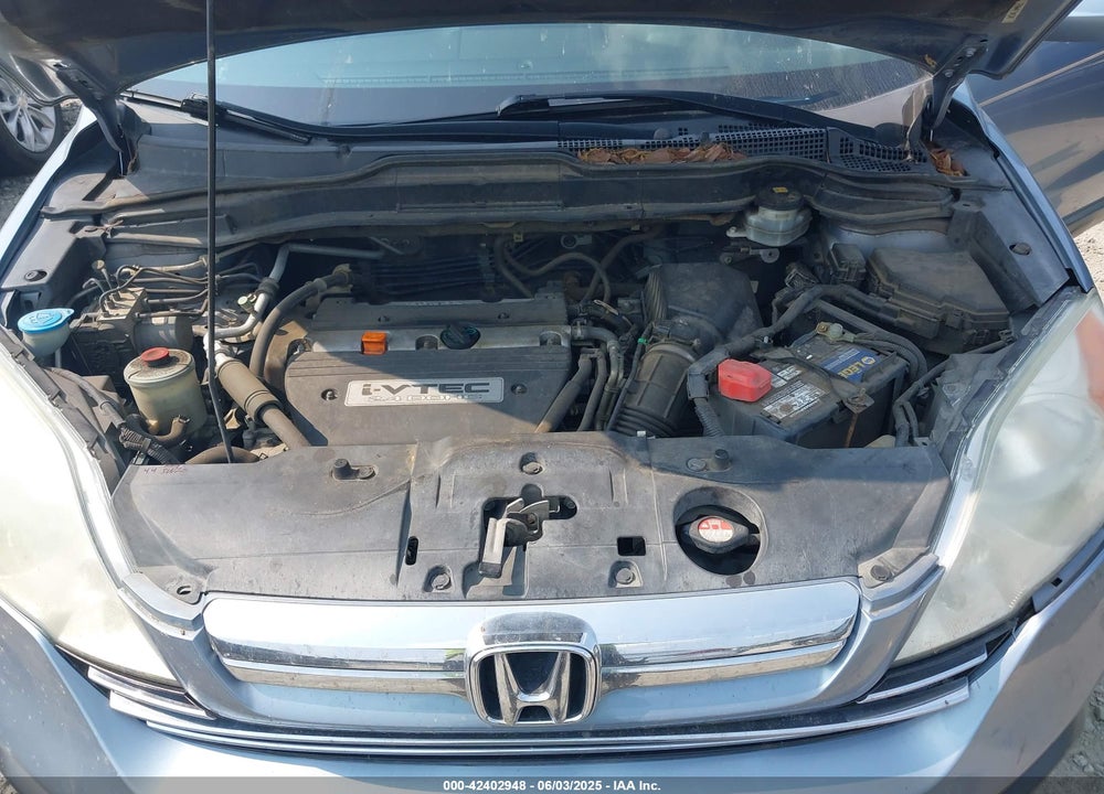 2009 HONDA CR-V VIN: 5J6RE387X9L027501
