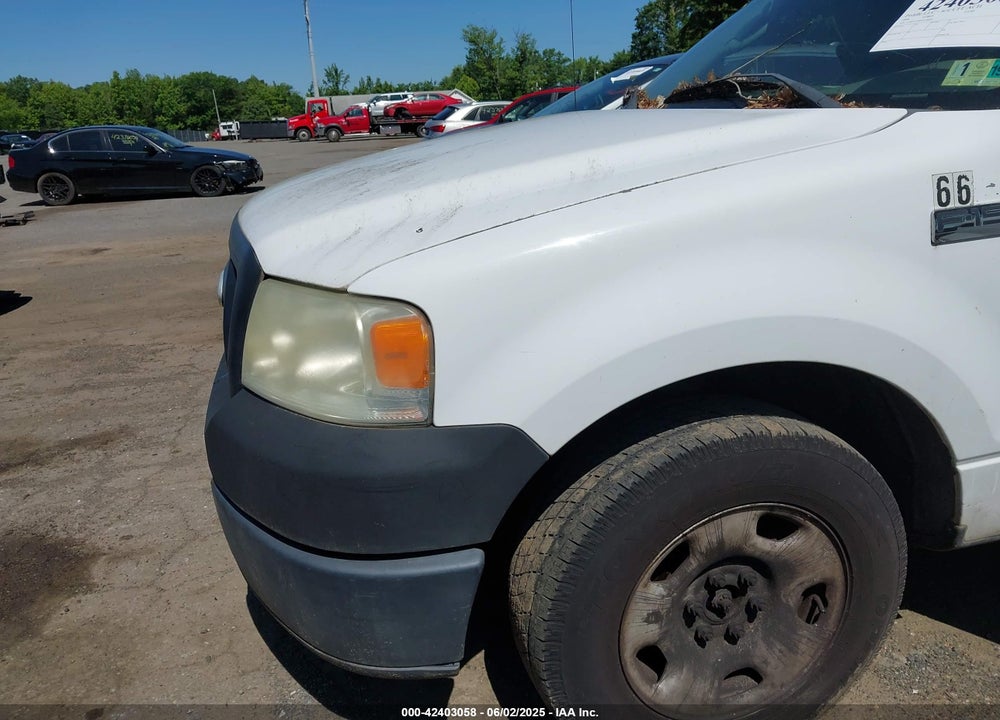 2006 FORD F-150 VIN: 1FTRF12236NA16666