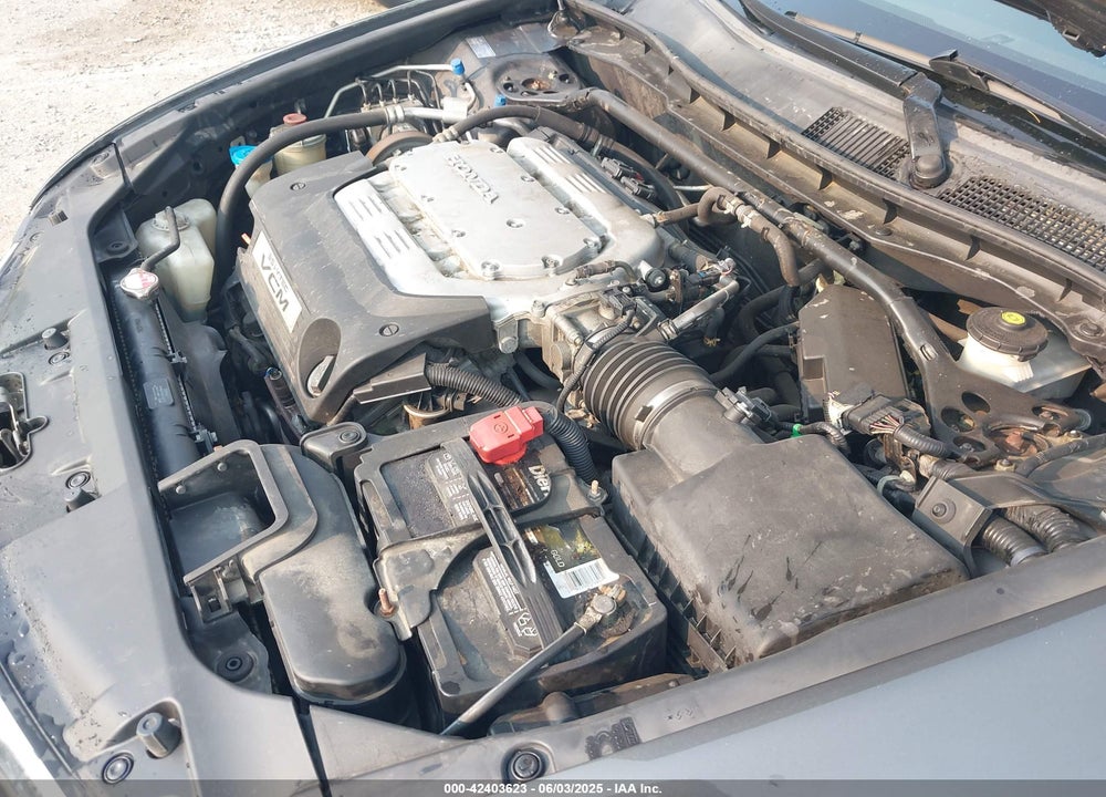 2010 HONDA ACCORD VIN: 1HGCP3F8XAA028599