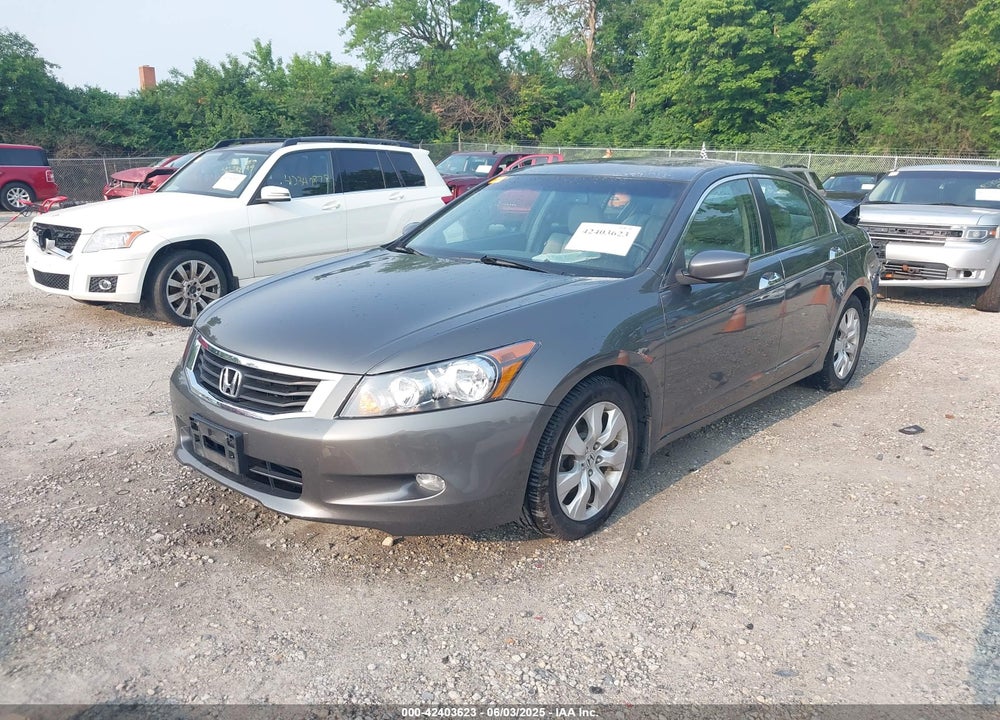 2010 HONDA ACCORD VIN: 1HGCP3F8XAA028599