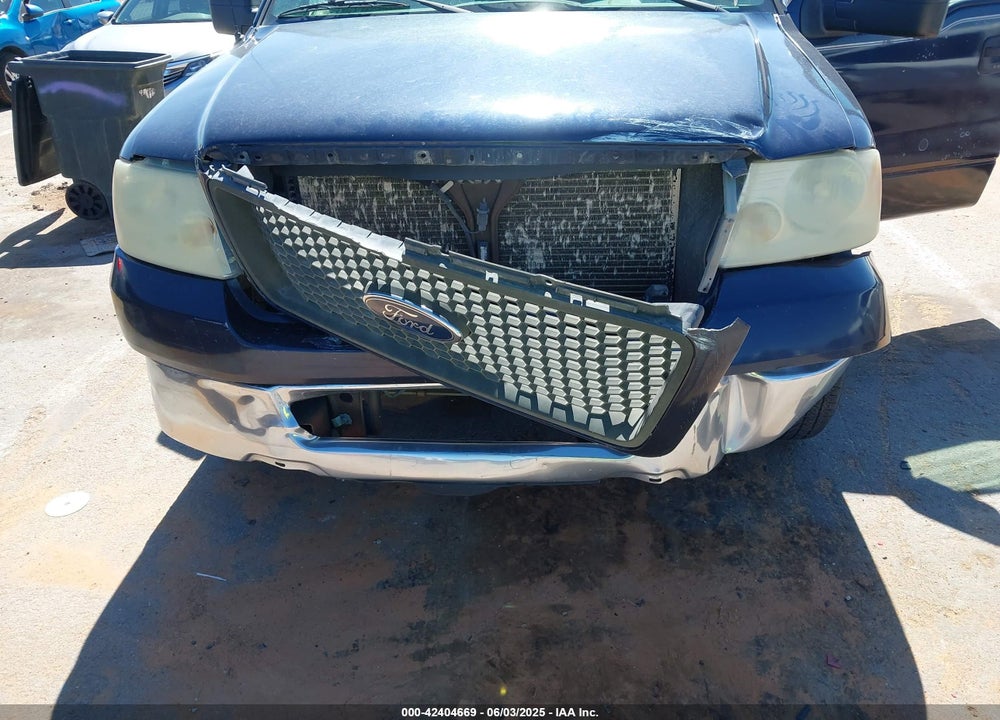 2006 FORD F-150 VIN: 1FTRW12WX6FB07897
