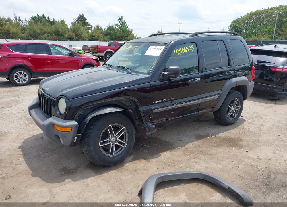 2002 JEEP LIBERTY SPORT VIN: 1J4GL48K02W189746