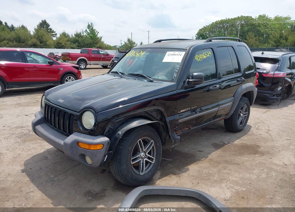 2002 JEEP LIBERTY SPORT VIN: 1J4GL48K02W189746