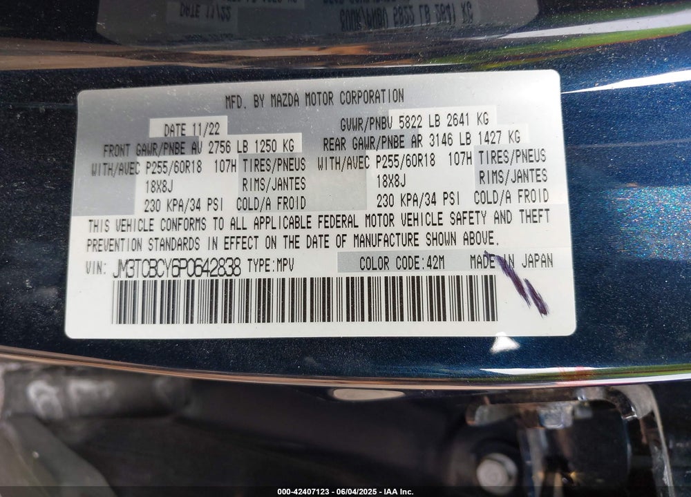 2023 MAZDA CX-9 VIN: JM3TCBCY6P0642838