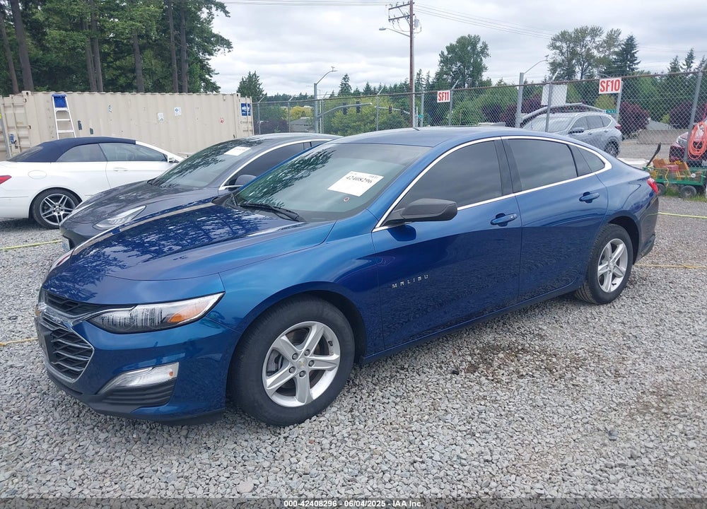 2019 CHEVROLET MALIBU VIN: 1G1ZC5ST8KF158159