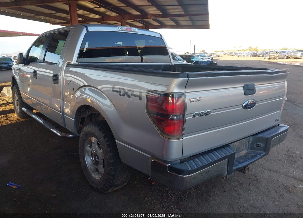 2010 FORD F-150 VIN: 1FTFW1EVXAFC24250