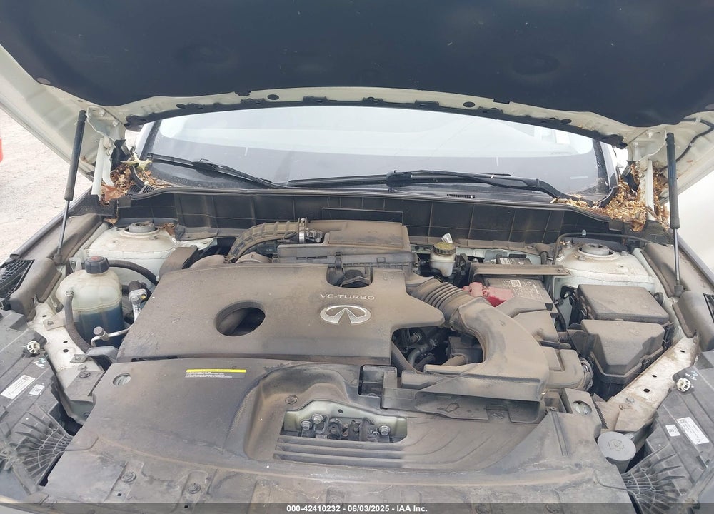 2019 INFINITI QX50 VIN: 3PCAJ5M34KF122965