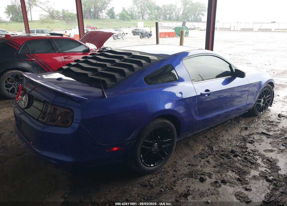 2013 FORD MUSTANG VIN: 1ZVBP8AM2D5262273