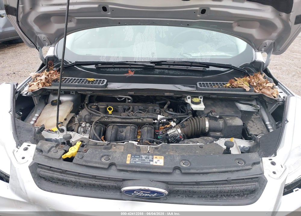 2014 FORD ESCAPE VIN: 1FMCU0F75EUE27224