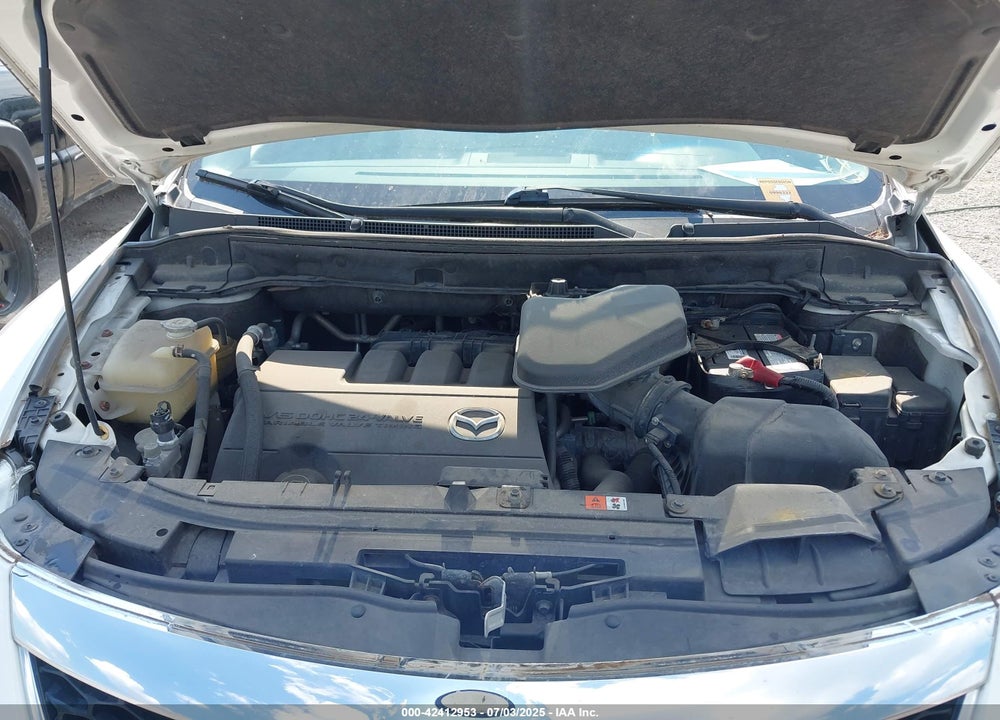 2010 MAZDA CX-9 VIN: JM3TB2MAXA0209602