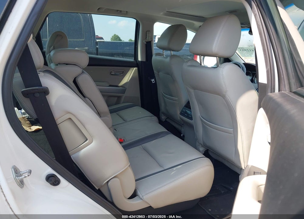 2010 MAZDA CX-9 VIN: JM3TB2MAXA0209602