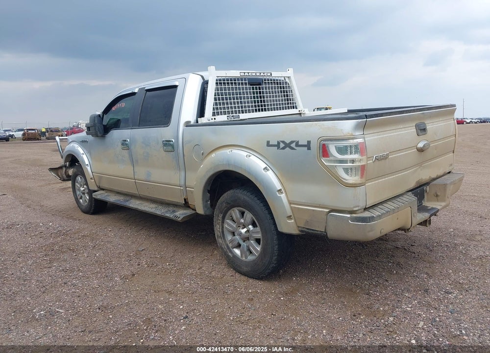 2010 FORD F-150 VIN: 1FTFW1EV7AFD79869