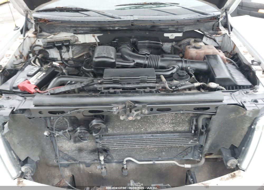 2010 FORD F150 VIN: 1FTFW1CV7AFC00412