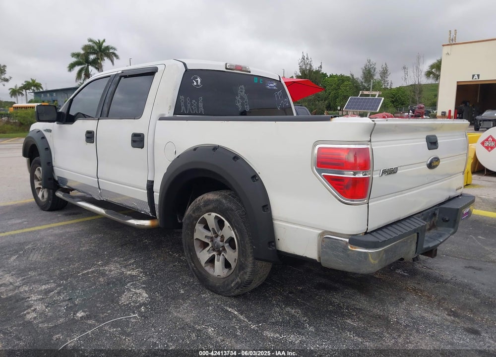 2010 FORD F150 VIN: 1FTFW1CV7AFC00412