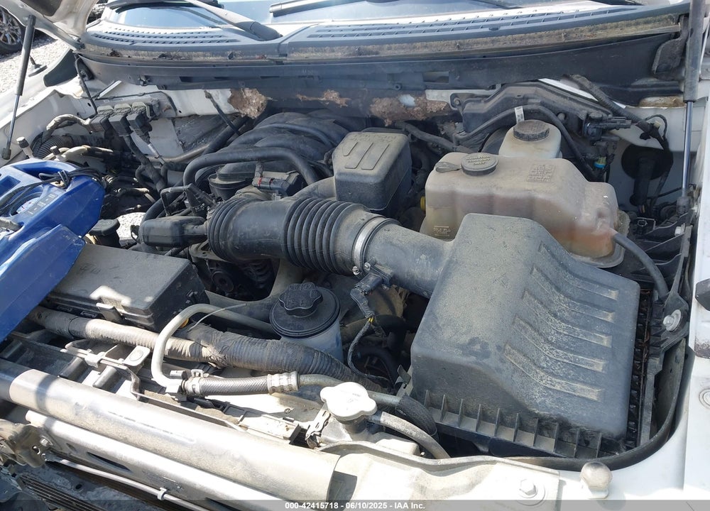 2010 FORD F-150 XL VIN: 1FTFW1E8XAFC11363
