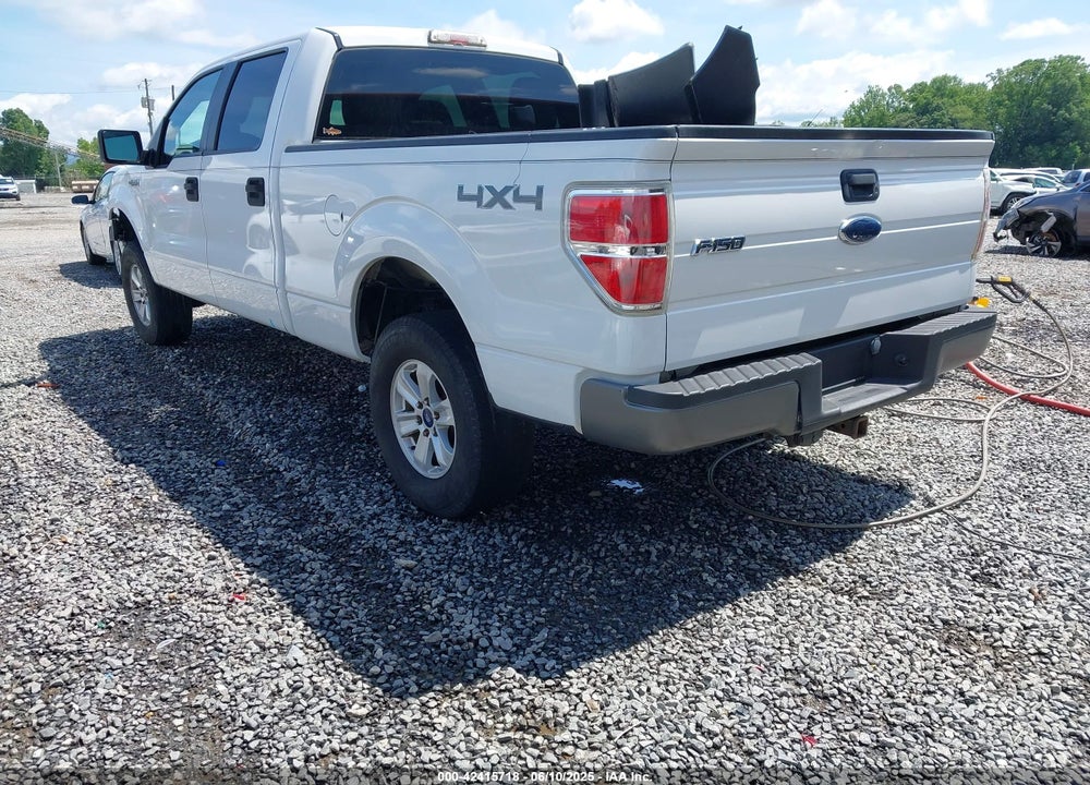 2010 FORD F-150 XL VIN: 1FTFW1E8XAFC11363
