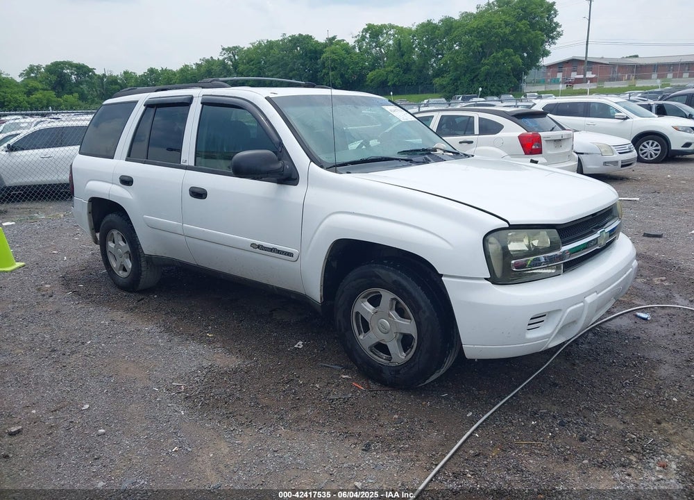 2002 CHEVROLET TRAILBLAZER LS VIN: 1GNDS13S122502822