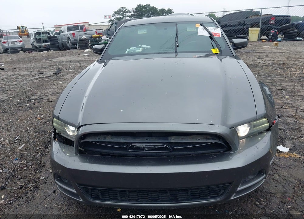 2013 FORD MUSTANG VIN: 1ZVBP8AM5D5250571
