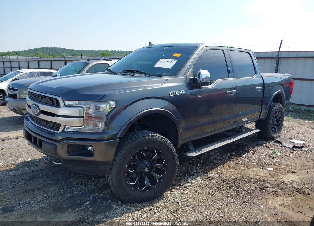 2019 FORD F-150 PLATINUM VIN: 1FTEW1E46KFD14077