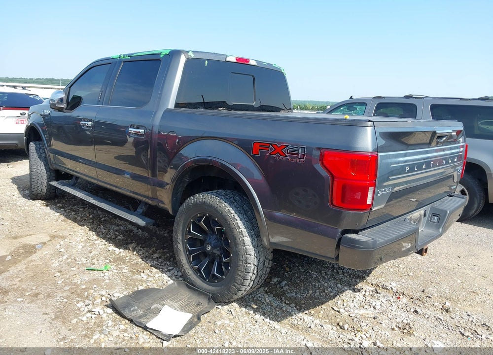2019 FORD F-150 PLATINUM VIN: 1FTEW1E46KFD14077