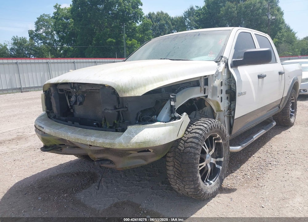 2009 DODGE RAM 1500 VIN: 1D3HB13P19S750446