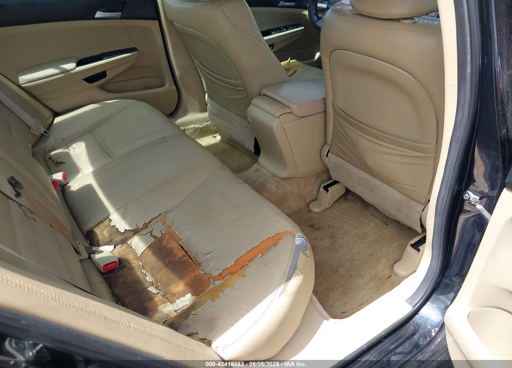 2011 HONDA ACCORD VIN: 1HGCP2F67BA101924