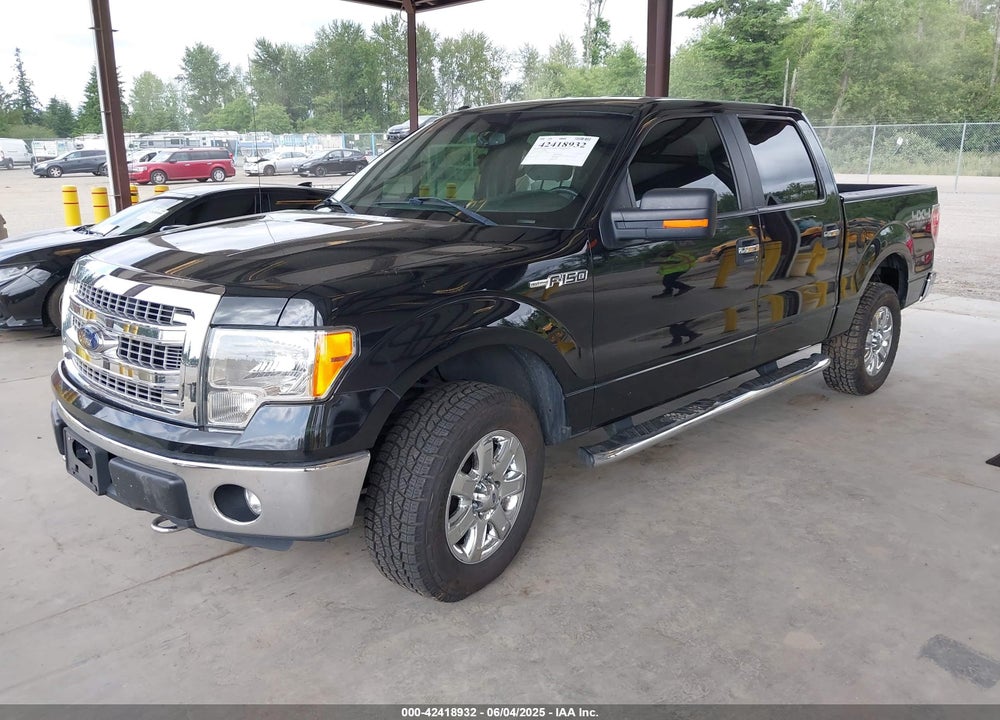 2013 FORD F-150 XLT VIN: 1FTFW1EF9DFE07670