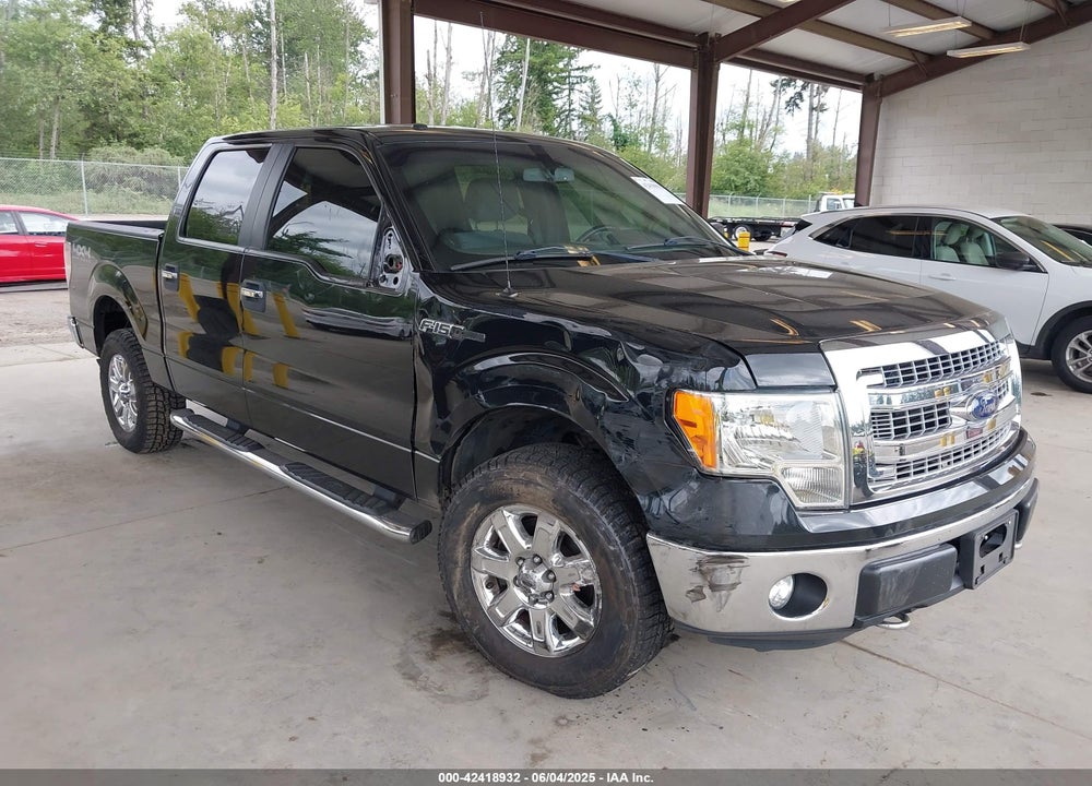 2013 FORD F-150 XLT VIN: 1FTFW1EF9DFE07670