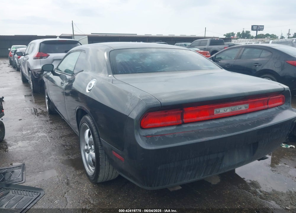 2010 DODGE CHALLENGER VIN: 2B3CJ4DV3AH139688
