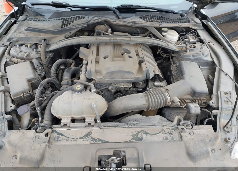 2020 FORD MUSTANG VIN: 1FA6P8TD1L5184204
