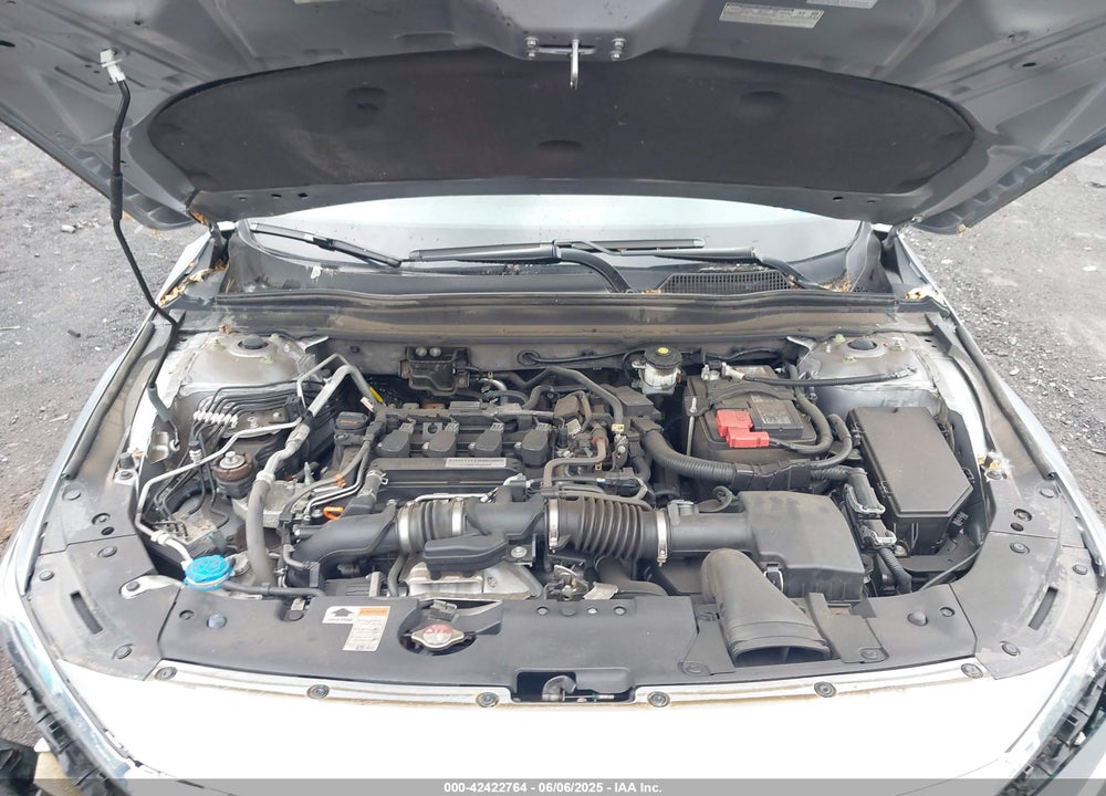 2019 HONDA ACCORD VIN: 1HGCV1F11KA101227