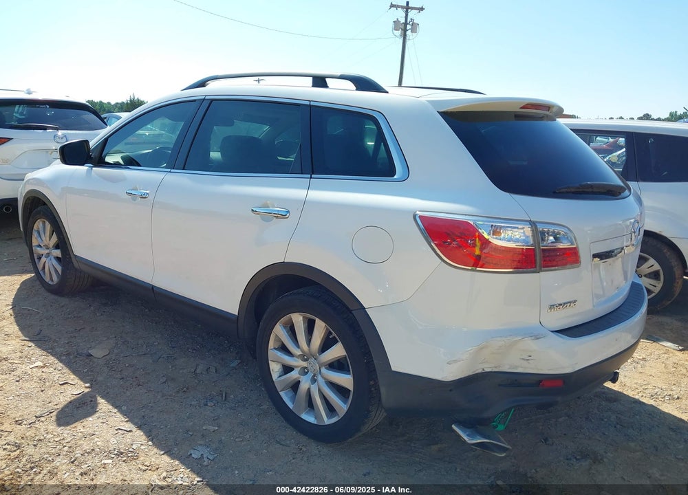 2010 MAZDA CX-9 VIN: JM3TB3MA6A0230906