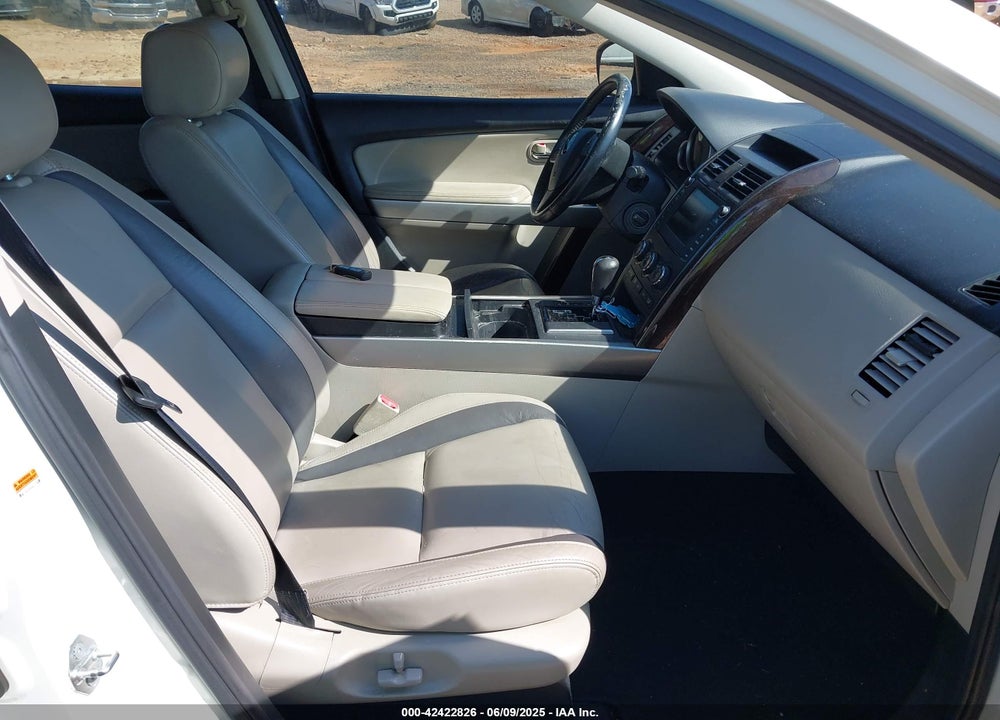 2010 MAZDA CX-9 VIN: JM3TB3MA6A0230906