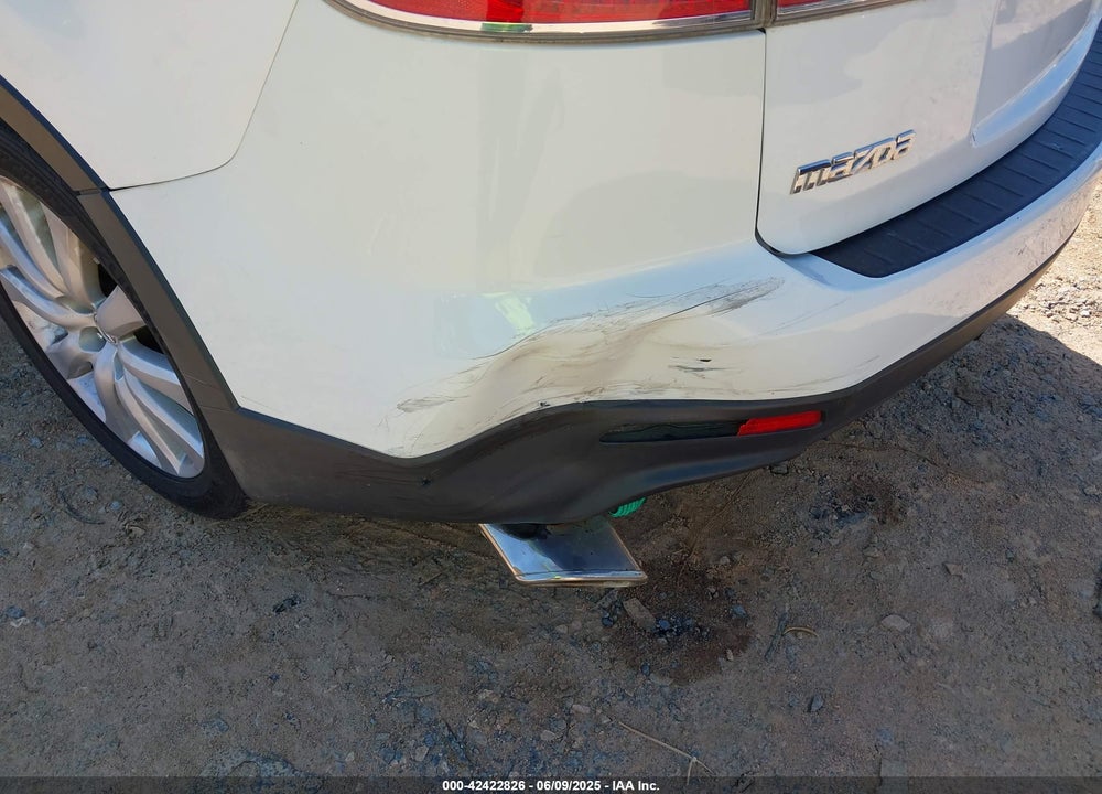 2010 MAZDA CX-9 VIN: JM3TB3MA6A0230906