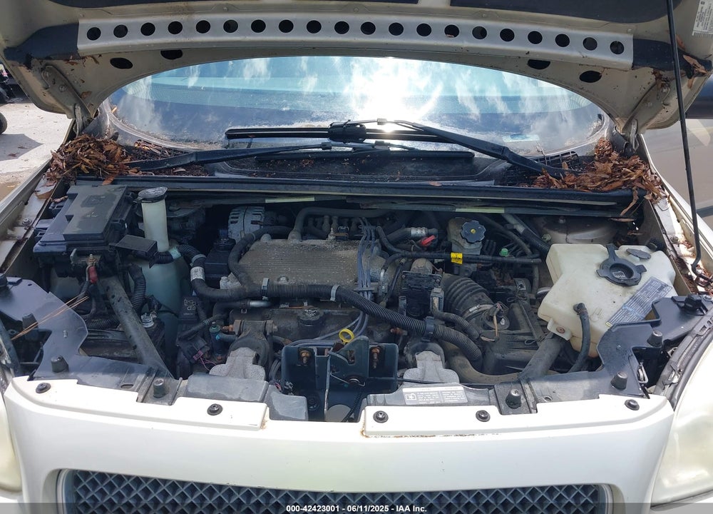 2006 CHEVROLET UPLANDER LS VIN: 1GNDV23L46D206340