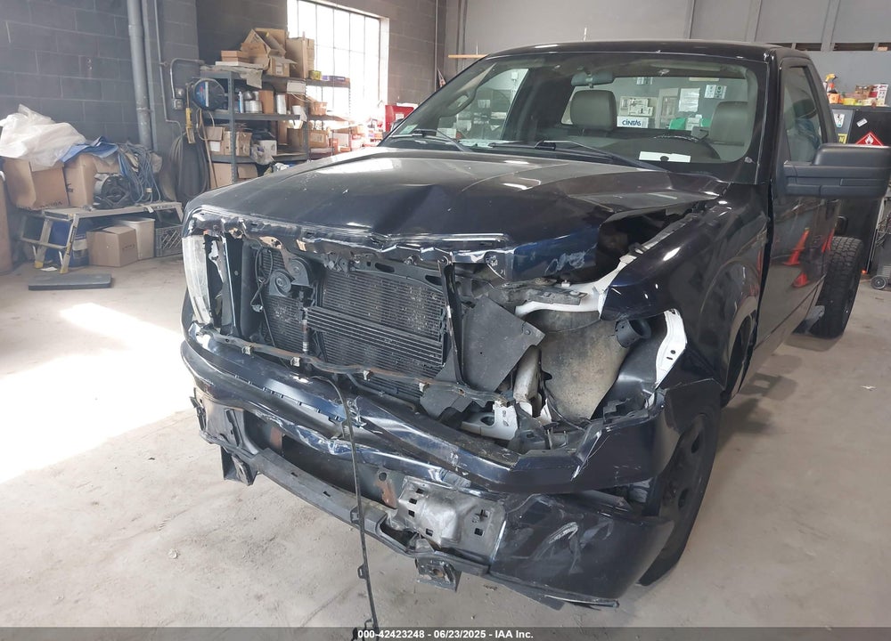 2009 FORD F-150 VIN: 1FTRF14WX9KB87999