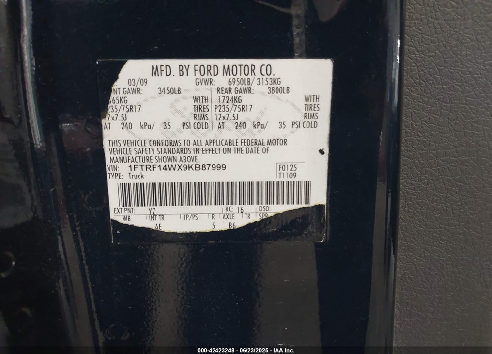 2009 FORD F-150 VIN: 1FTRF14WX9KB87999