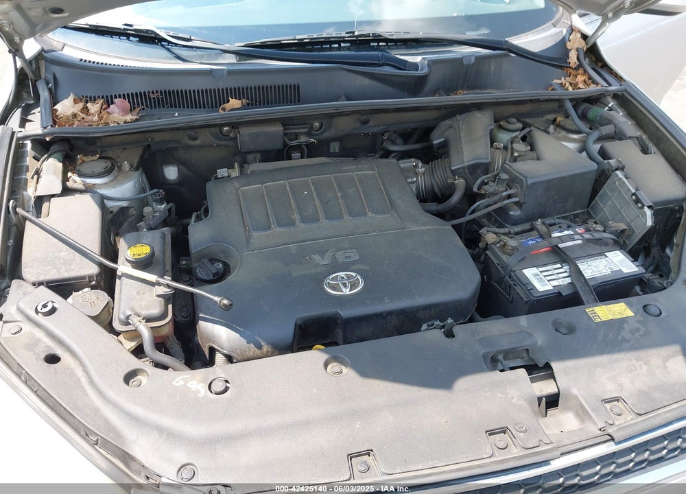 2009 TOYOTA RAV4 VIN: JTMZK31V29D001007