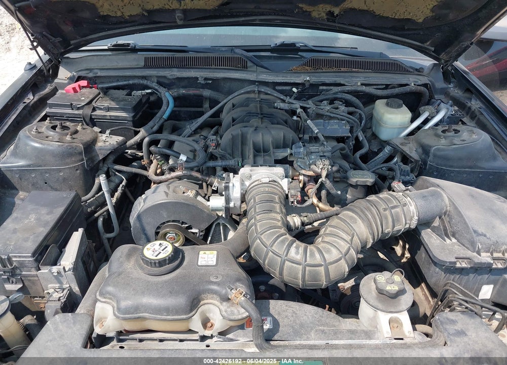 2005 FORD MUSTANG V6 DELUXE/V6 PREMIUM VIN: 1ZVFT80N355240212