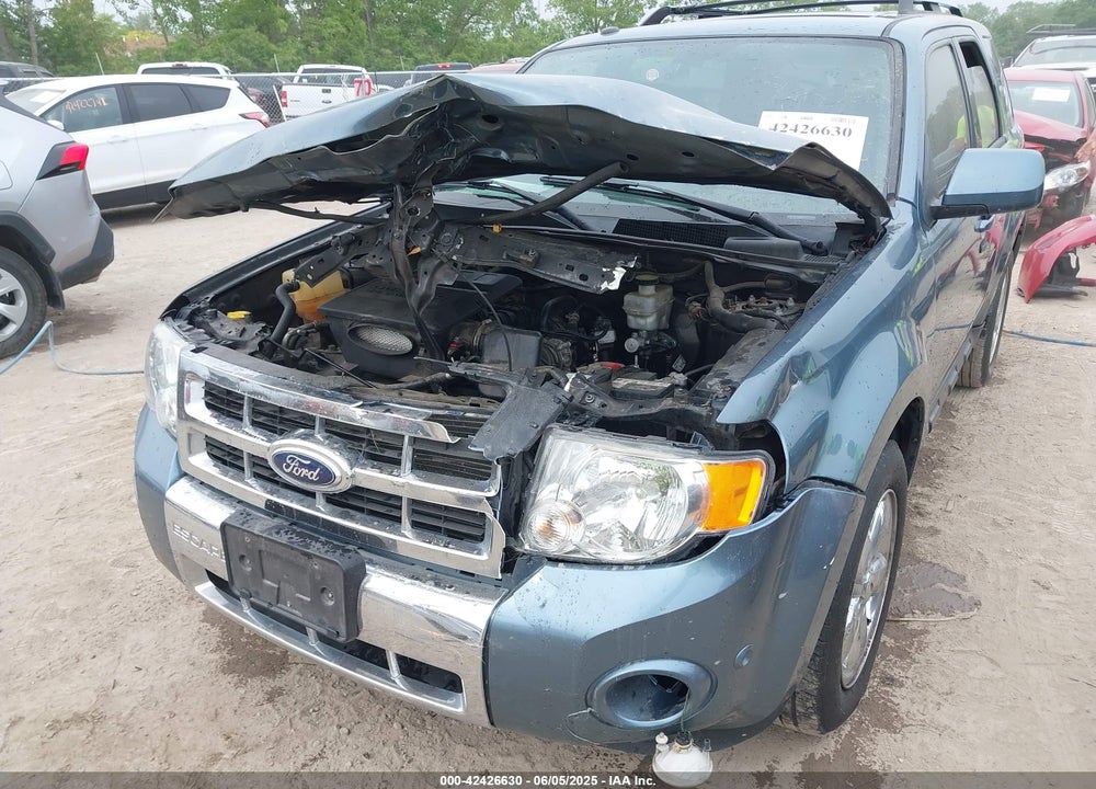 2010 FORD ESCAPE VIN: 1FMCU0EG3AKD26559