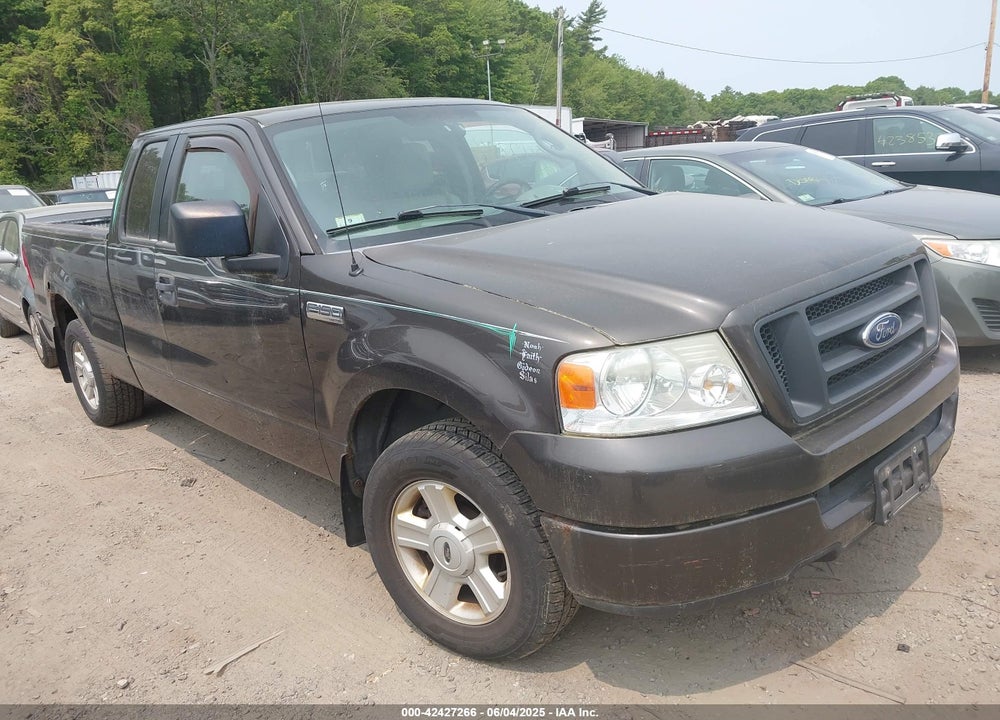 2005 FORD F-150 STX/XL/XLT VIN: 1FTRX12W65FB05981
