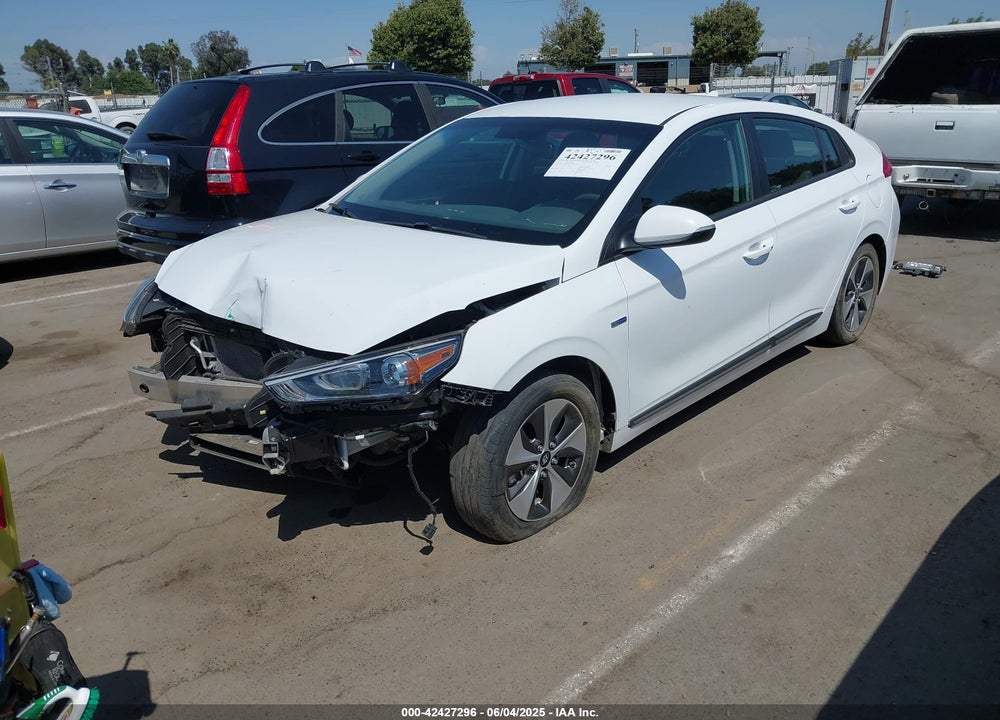 2019 HYUNDAI IONIQ ELECTRIC VIN: KMHC75LH1KU050520