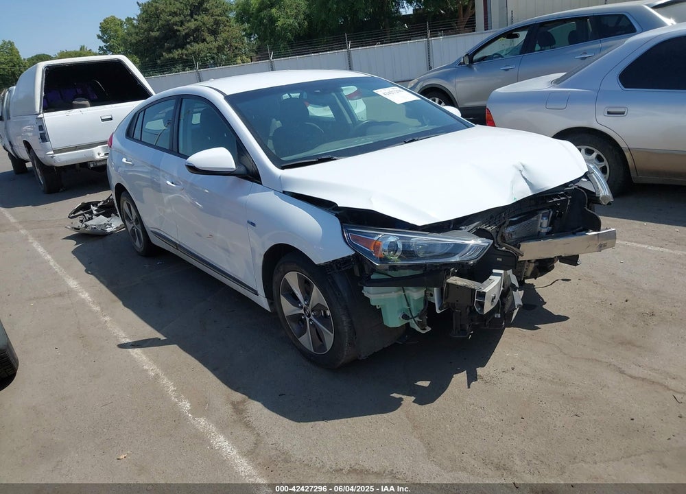 2019 HYUNDAI IONIQ ELECTRIC VIN: KMHC75LH1KU050520