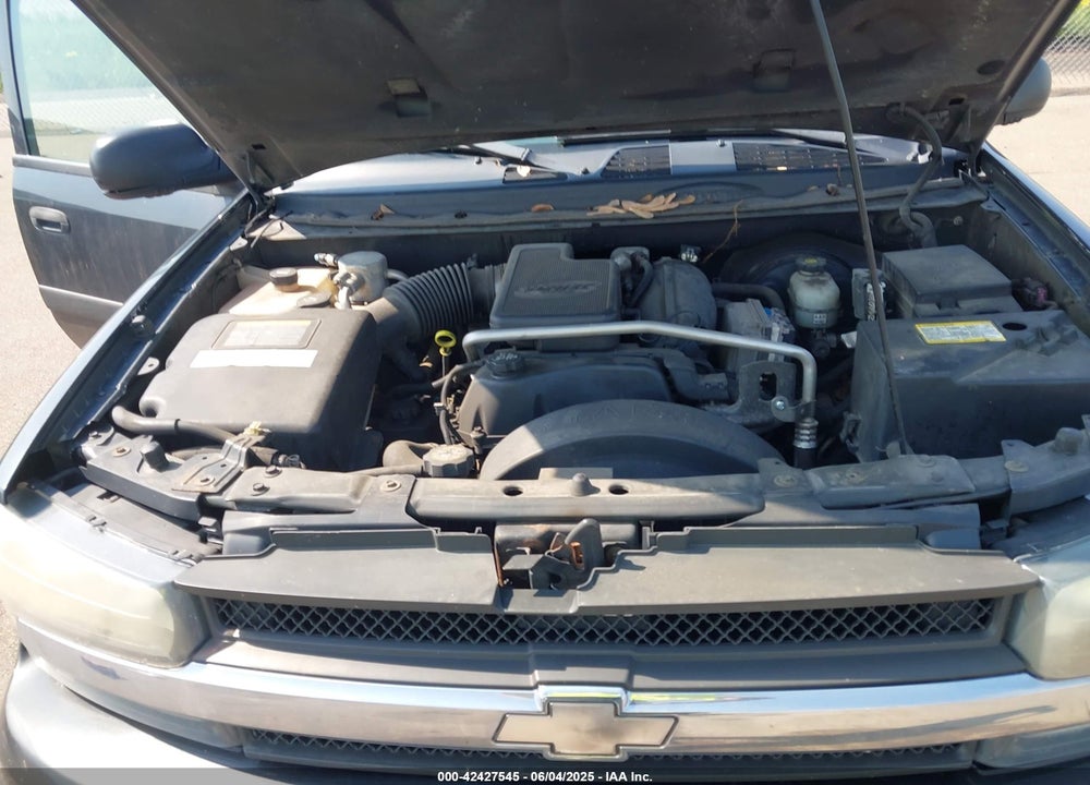 2004 CHEVROLET TRAILBLAZER LS VIN: 1GNDT13S842443381