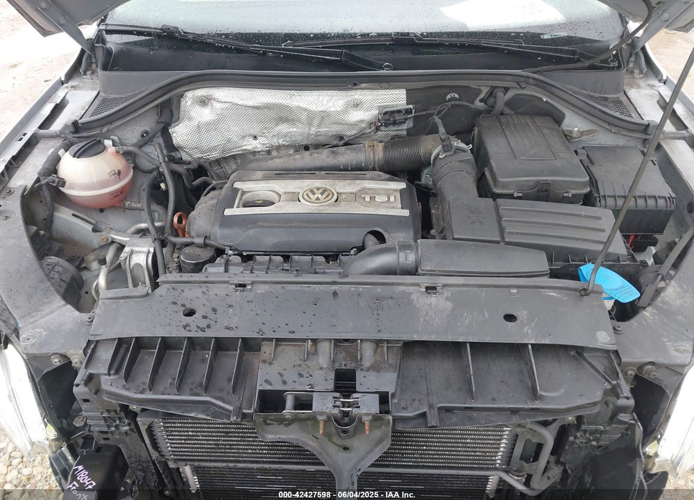 2011 VOLKSWAGEN TIGUAN VIN: WVGBV7AX7BW503311