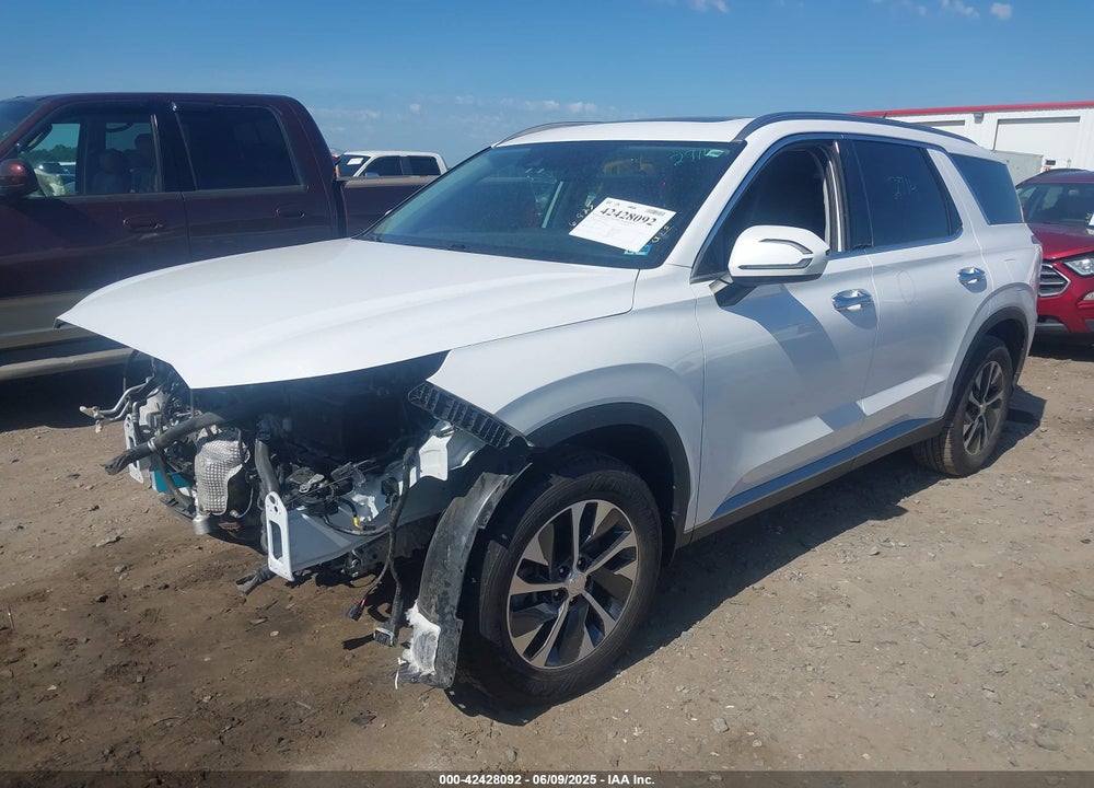 2020 HYUNDAI PALISADE VIN: KM8R24HE9LU051546